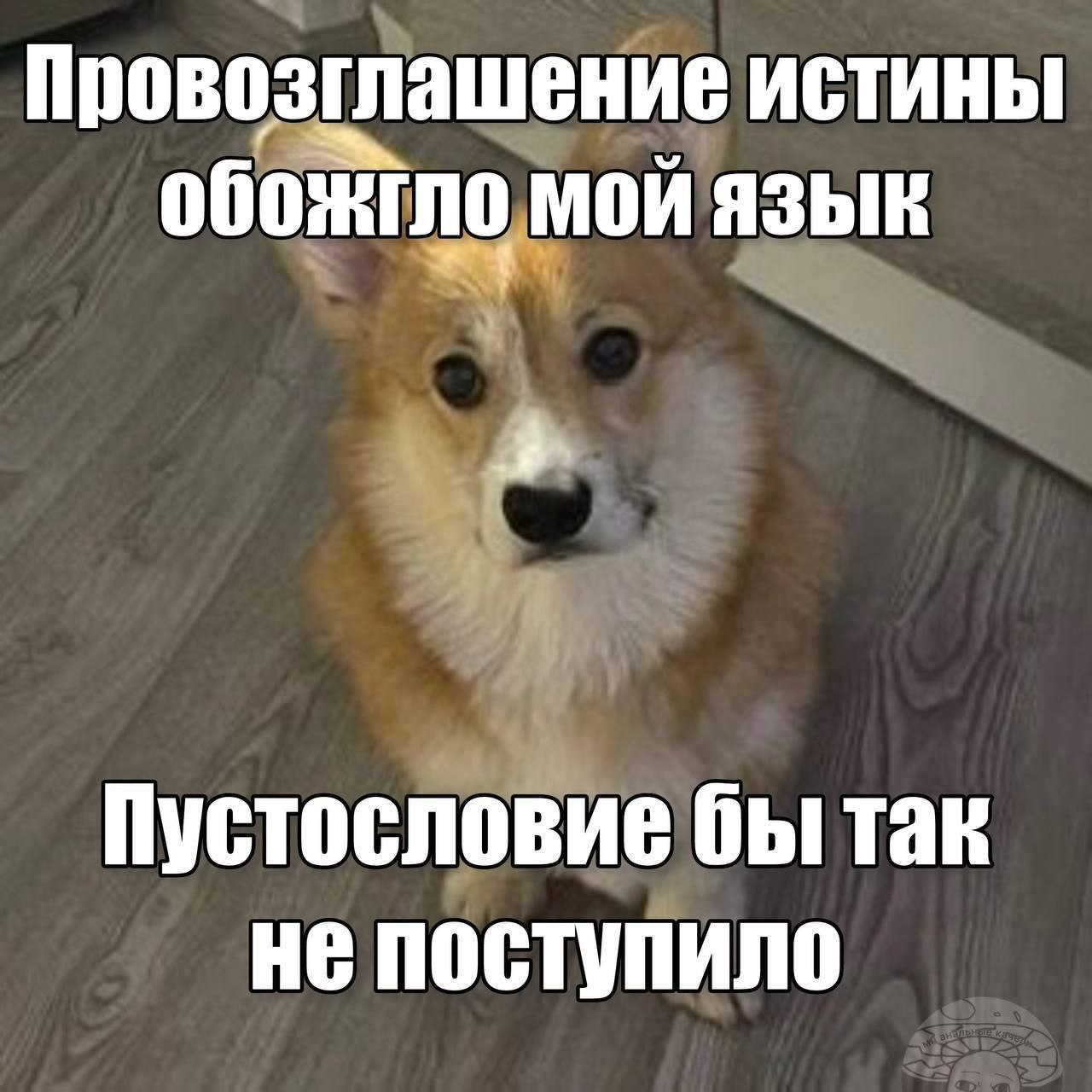 image.png.720545d15639b213114606ced7de8f60.png