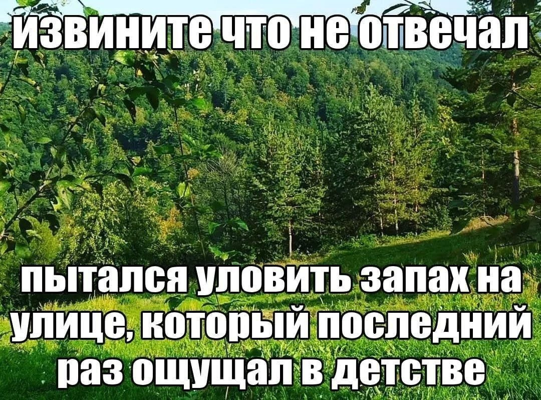 image.png.729925f06dfc1ad32d32d3e432df5e75.png