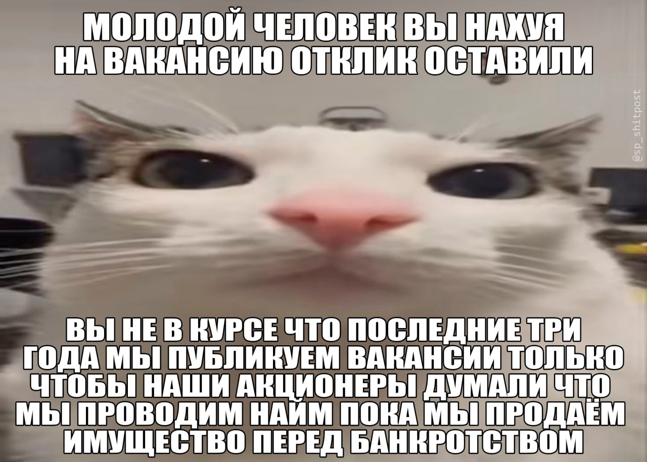 image.png.7efcebf093fda6260a7e36b20baaca25.png