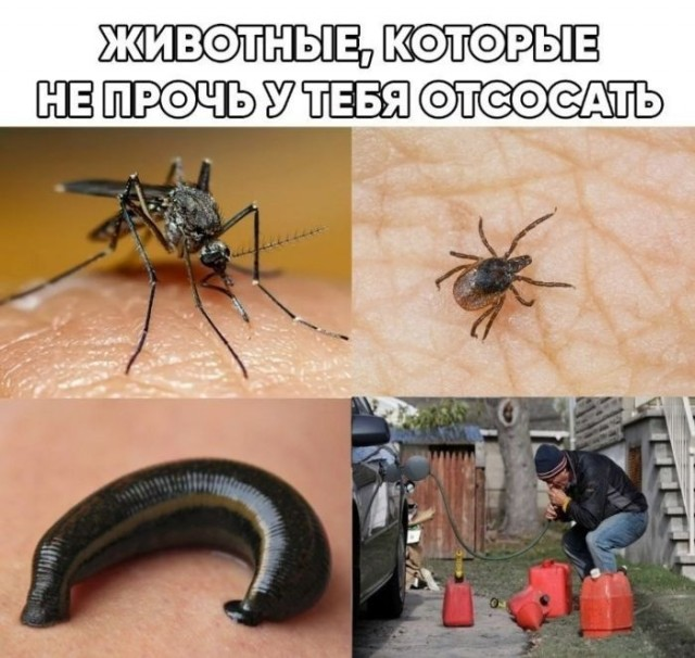 image.png.96cde001ff79886528275810c760d44a.png