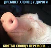 image.png.9aa638a30a1b17bc0b4994101bdff1c4.png
