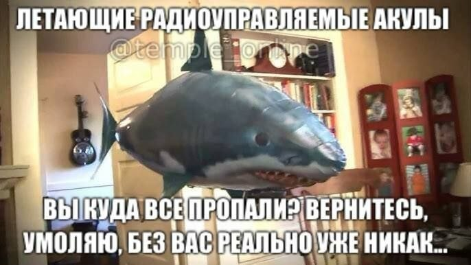 image.png.c7c67465bcbe732ba5778ba352799968.png