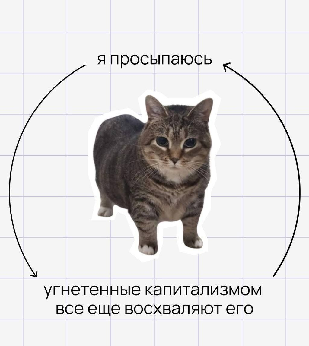 image.png.ee2464edb16698487357212adf15aaf0.png