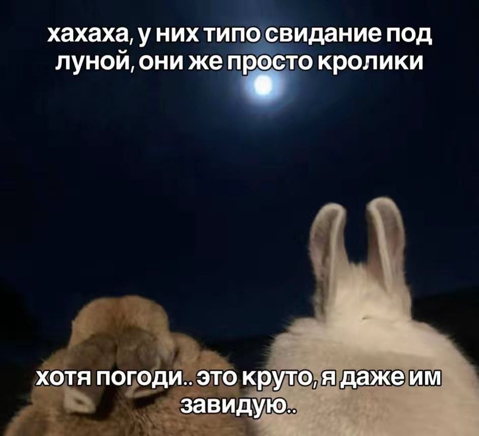 IMG_20260718_160857_153.jpg.7a8312b175f684b07ece7c1a3f4bec08.jpg