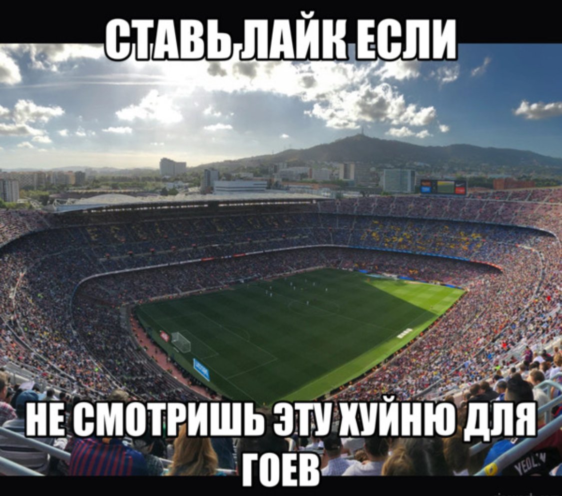 IMG_5286.jpeg.54a5a345e8bbb42647376352622130f6.jpeg
