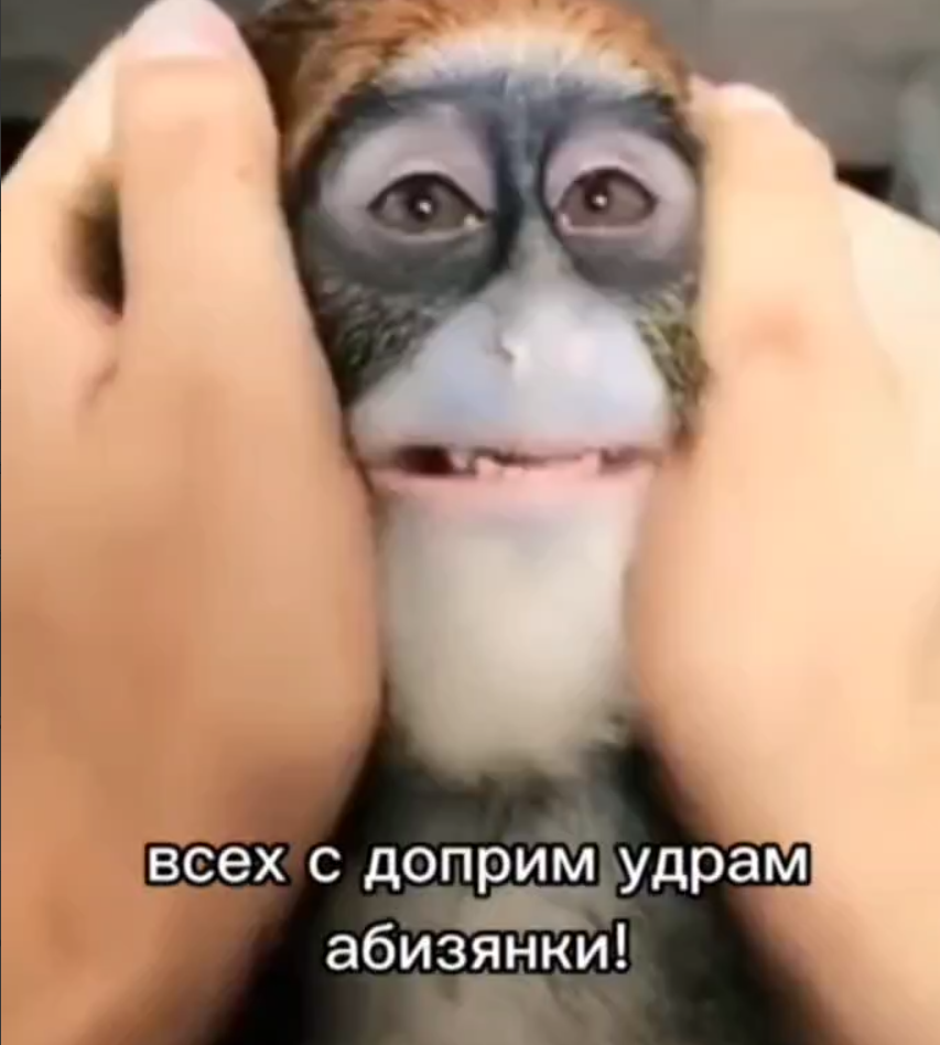 image.png.648a44641324b2d56818a5b9c747521e.png