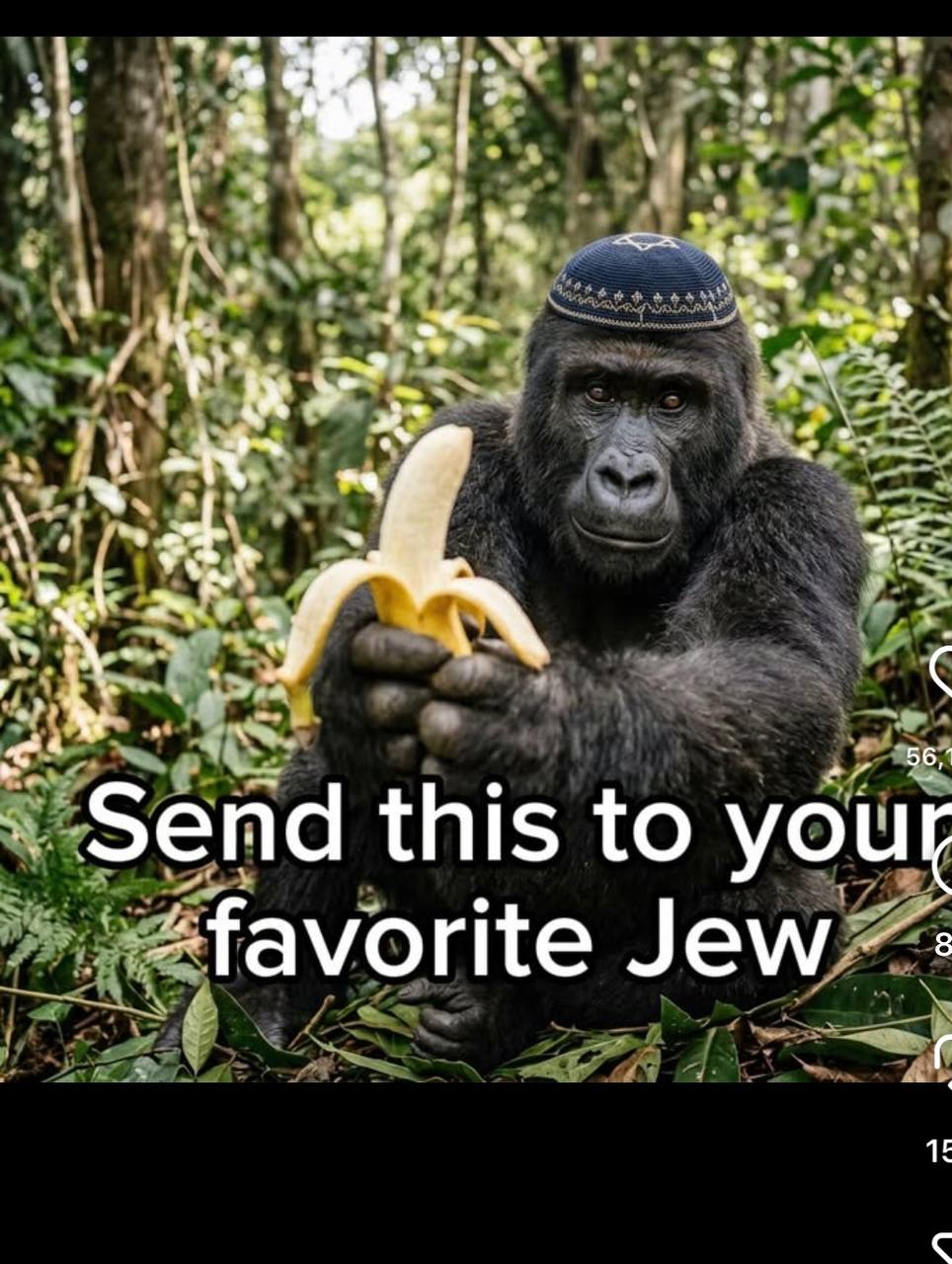 image.png.cd9f0f17952fb9fae3f7e6ac0a69c875.png