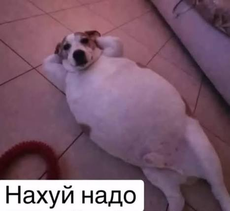 image.png.f2c37d2aa65e2555dc58cd2a64d5cd8c.png