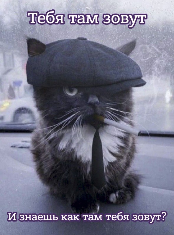 image.png.15a26ae11c0fd46953a53769b5236675.png