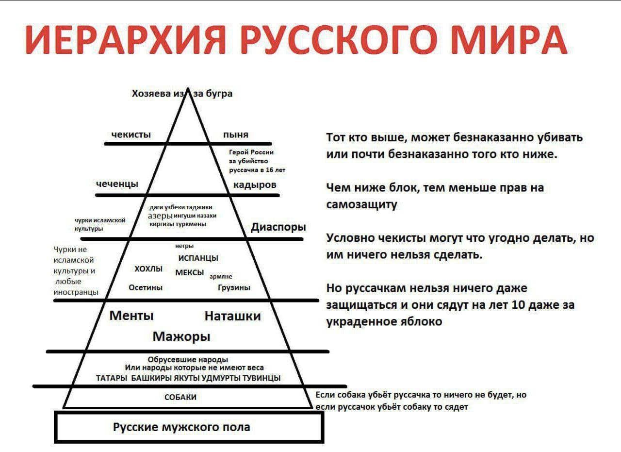 image.png.2e855b2a6ff9185f94b4d63c21d806eb.png