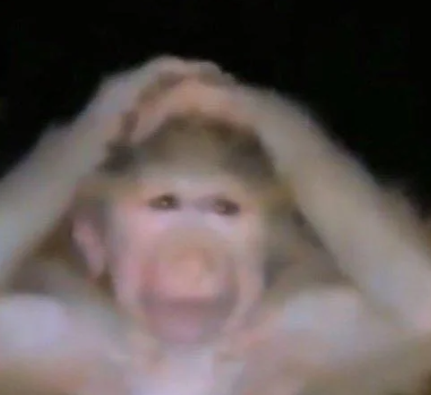 image.png.c88be3d18a091620784838fd56ec3d49.png