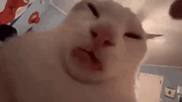 %D0%B7%D0%B0%D0%B3%D1%80%D1%83%D0%B6%D0%B5%D0%BD%D0%BD%D0%BE%D0%B5.gif.79505a102a19fb2dcf5ef3bb94656492.gif