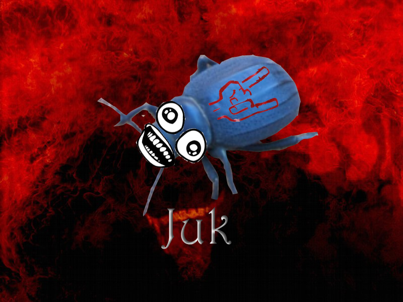 Juk