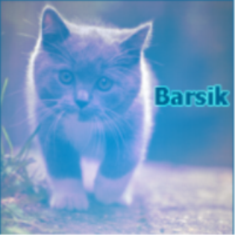 Barsik ;3