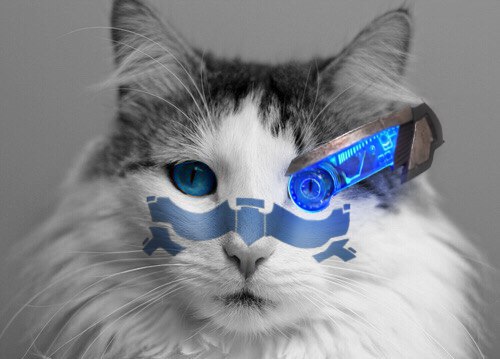 Garrus