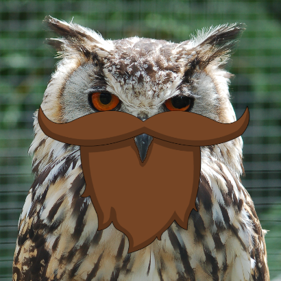 Bearded_Owl