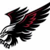 White hawk