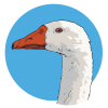 goose_ninja