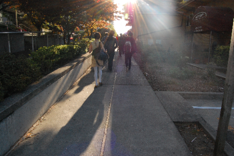 День третий и четвёртый глазами Zenith