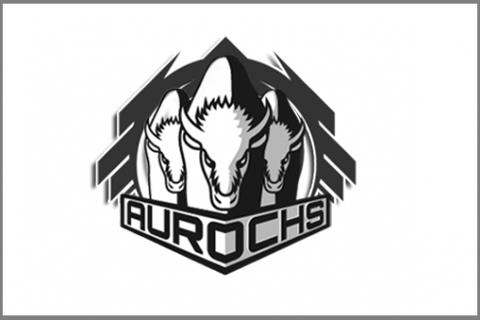 Aurochs врываются на сцену с 2 командами и лигой