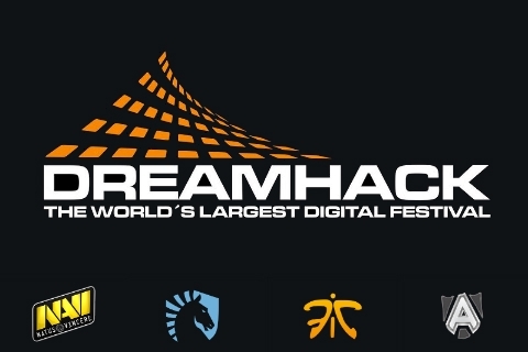 DreamHack Winter 2013: NaVi берут титул