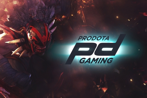 Новый состав Prodota Gaming