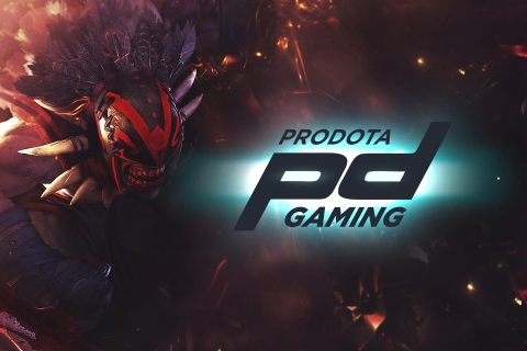 Prodota Gaming определяется с составом