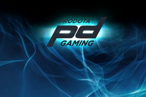 Prodota Gaming зарегистрировали обновлённый состав